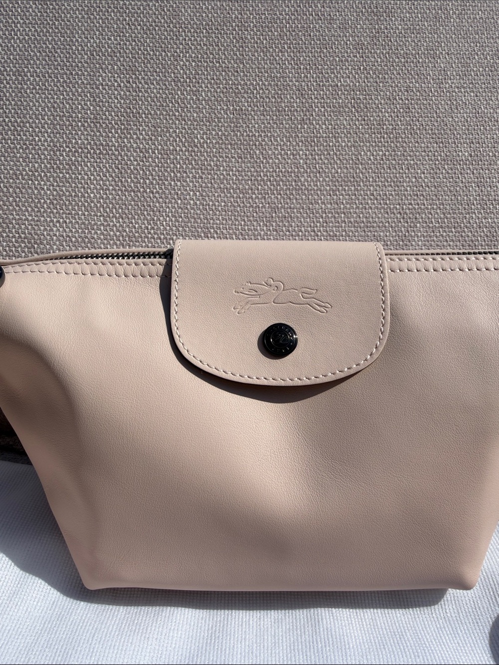 Longchamp Small Light Pink Leather Crossbody Bag Silver Hardware - Picture 2 of 14